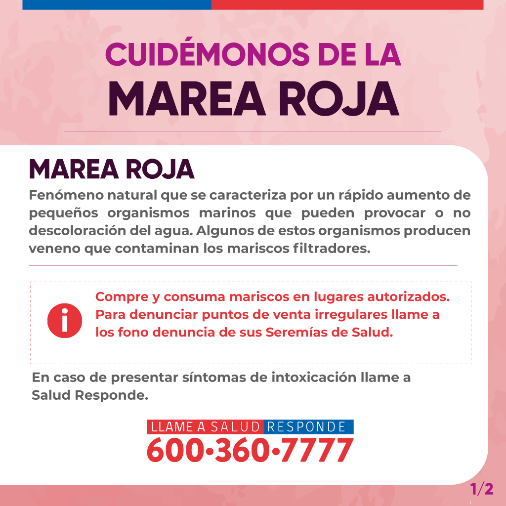 SeremiSalud_XI's tweet photo. Cuidémonos de la Marea Roja. Recuerda consumir o adquirir mariscos solo en el comercio establecido, solo así estarás cuidando tu salud y la de quienes te rodean. https://t.co/25mmUqtt3g