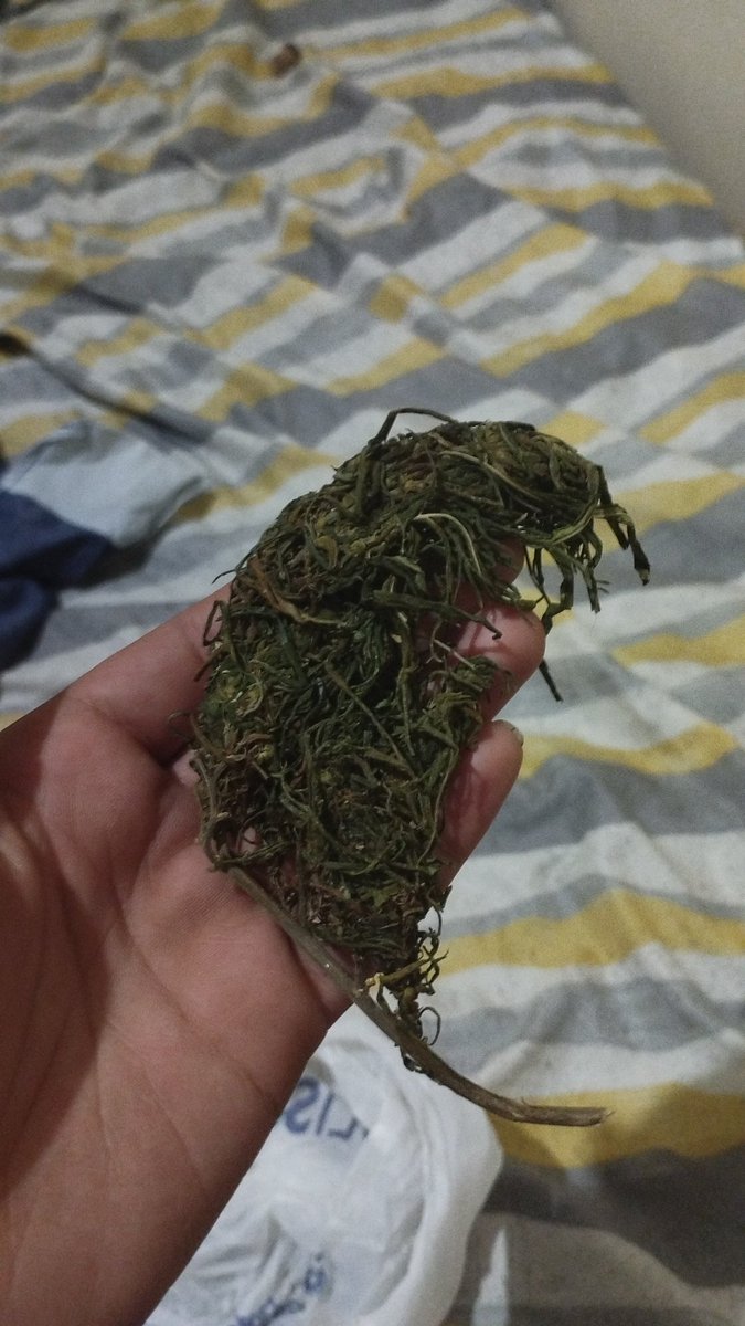 Tatickelly1's tweet photo. Pra ser amigo meu tem que entender que eu vou querer esse tipo de presente! 😍 https://t.co/zhdvB2XajT