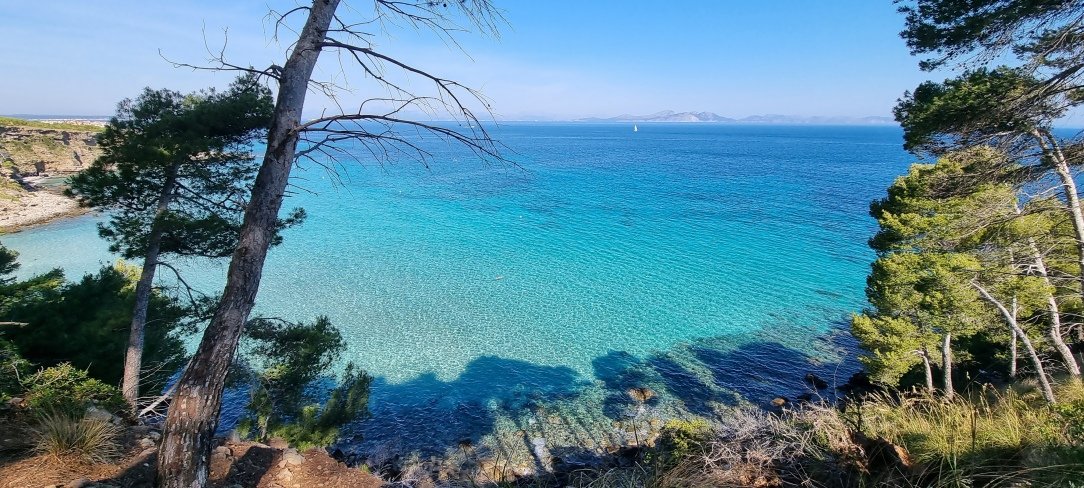 Ya ha llegado #abril. Hemos preparado Muchas actividades  para #SemanaSanta . Además de un especial para #SanJordi que en breve publicaremos 
pekesmallorca.com/2022/03/15/pla… 
No dudes en visitar pekesmallorca.com y descubrir las #rutas para disfrutar de la #naturaleza o #ciudad