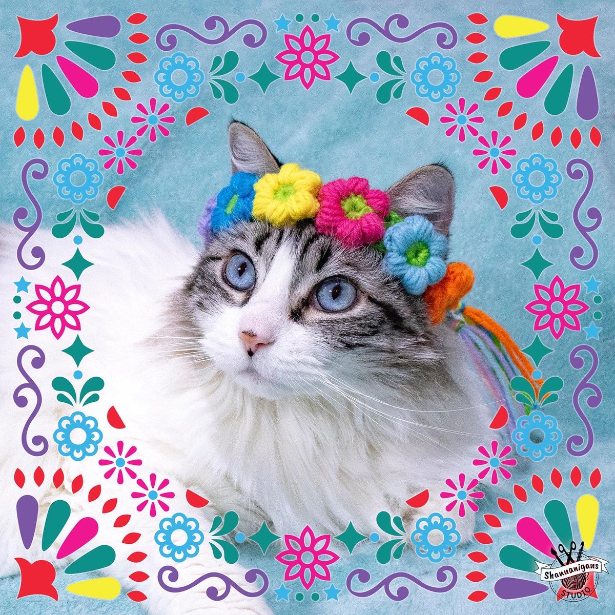 ShannanigansST's tweet photo. Fiesta for cats!
https://t.co/hC7XjcOXHU

 @FiestaSA 
#FiestaSA #fiestasa2022 #hatsforcats https://t.co/LEj5aKT6hD