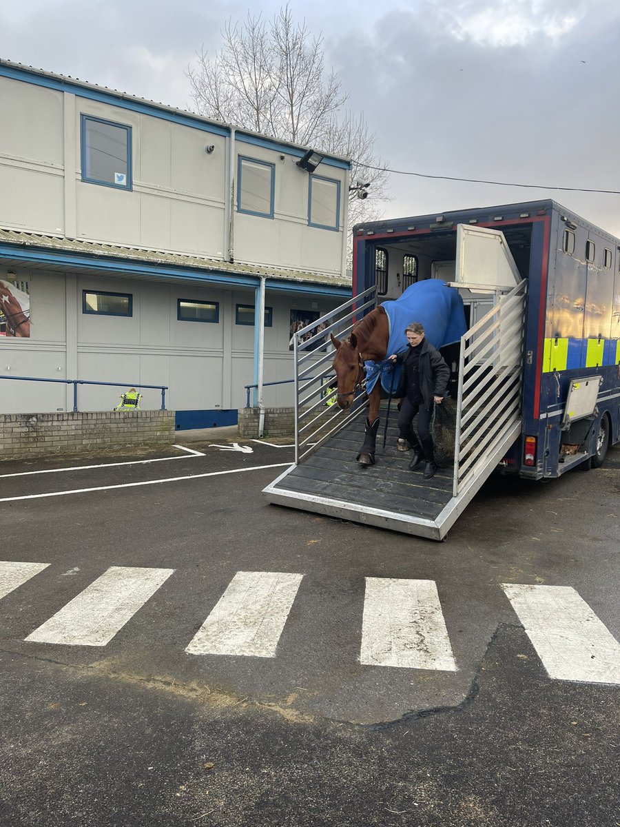 ACC Mark Travis tweet media