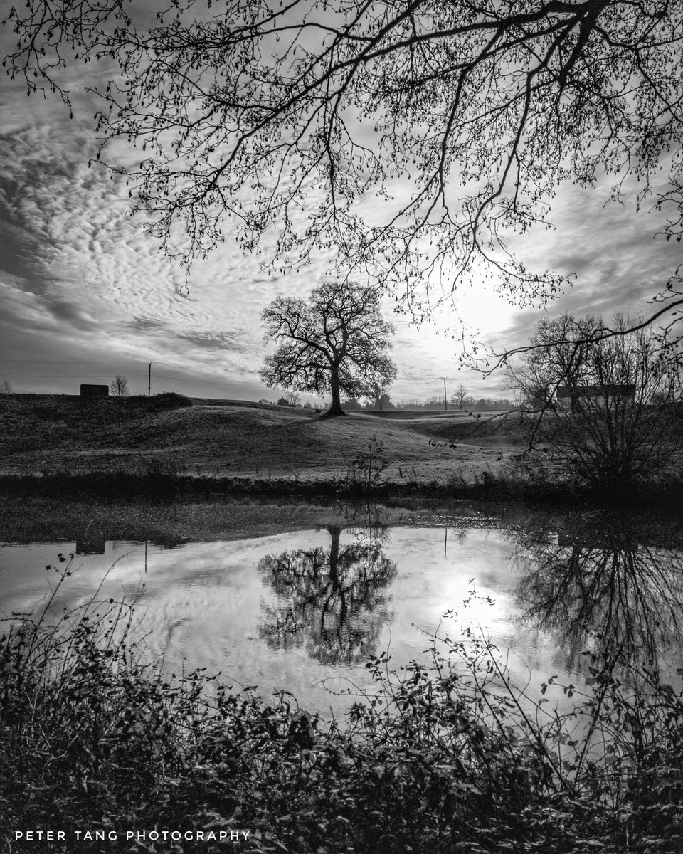 Reflected tree alone the River Medway
#reflections #kent #visitkent #rivermedway #bnwsoul #bnw #kentphotographer #picoftheday #bnwphotography #black #white #blackandwhitephotography #tones #gameoftones #bnwlife #bnwmood