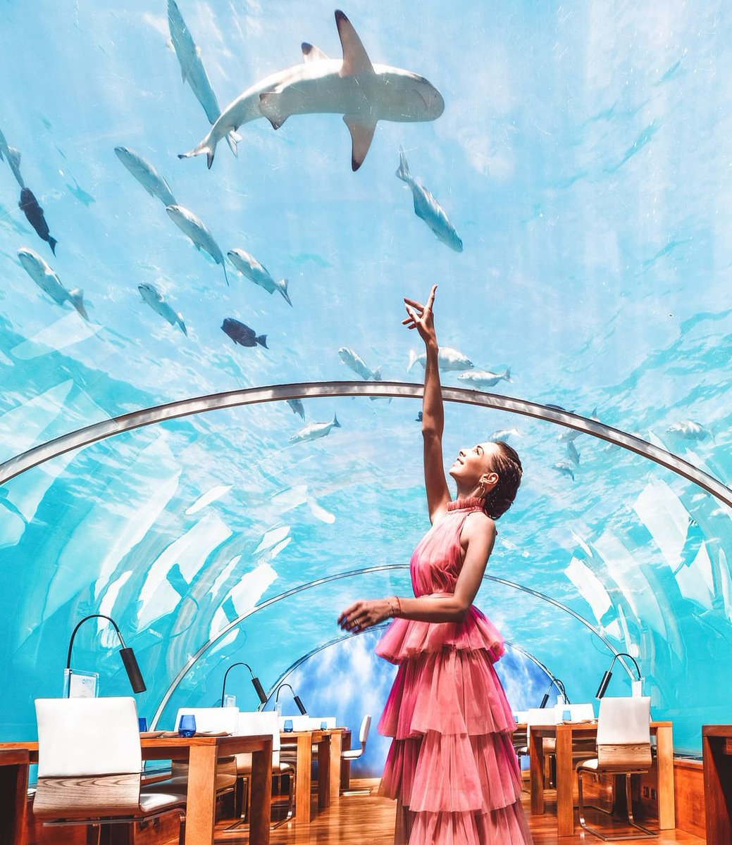 capitaltravel's tweet photo. Maldives is renown for its diverse underwater beauty and majestic sea creatures!
#femmetravel #girlsthatwander #darlingescapes #dametraveler #sheisnotlost #passionpassport #girlsborntotravel #beautifuldestinations #mytinyatlas #wearetravelgirls #girlslovetravel https://t.co/jINFang6oG
