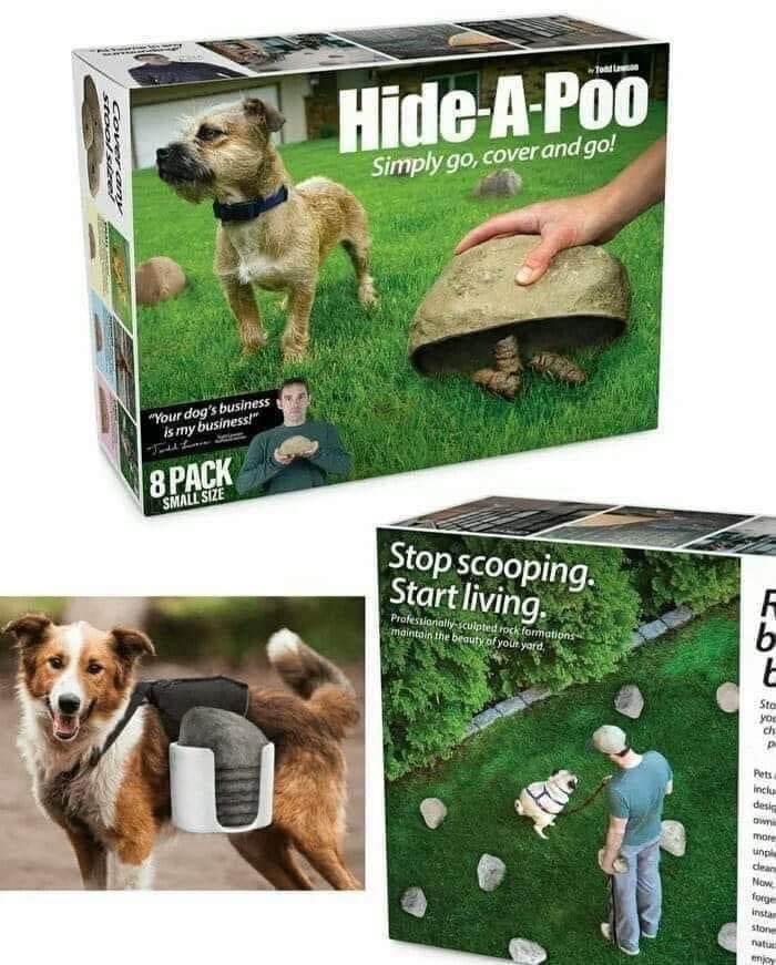 [Image: FPW8bH8XsAIWJGX?format=jpg&name=900x900]