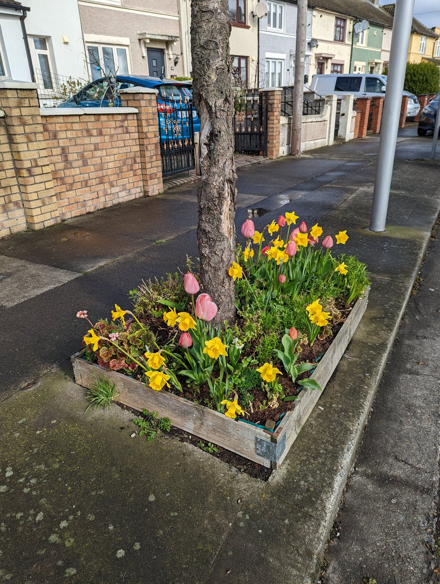 Thanks to everyone who came out to litter pick today, a fine haul was collected by volunteers. If you see a full bin, scan the QR code to let the council know it's full. We think the area is looking better and better, and all the bulbs coming up are adding huge colour and life