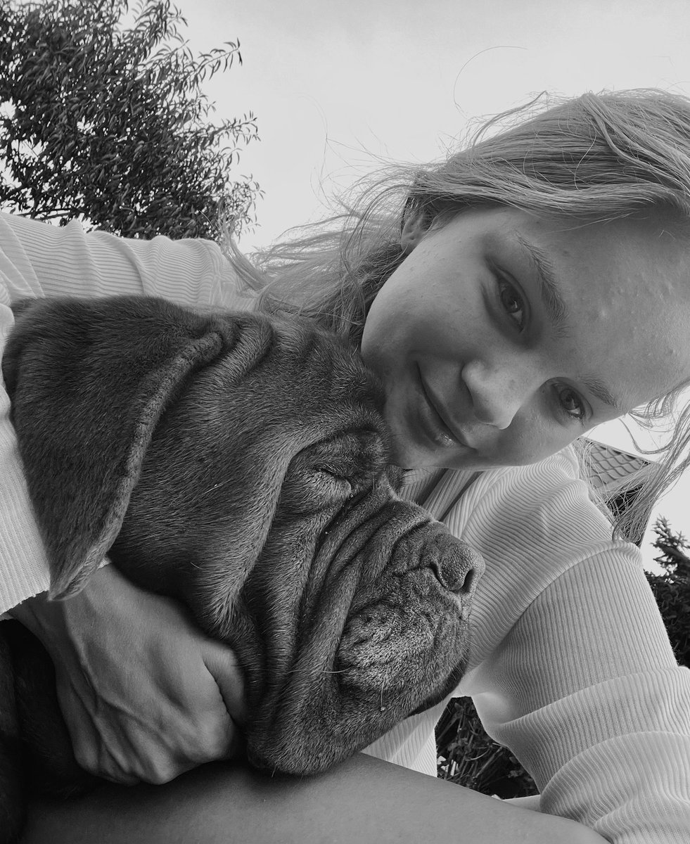 lapatina_'s tweet photo. Rest in peace, my beautiful angel. They will pay for making your last few weeks hell. https://t.co/mCj187oq0r