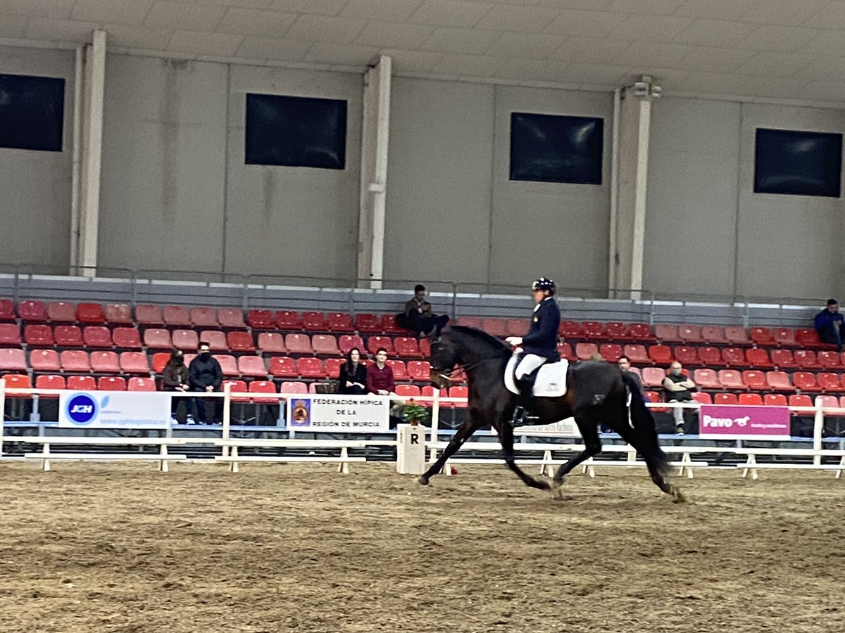Soyjfhernandez's tweet photo. Hoy he estado en @IfepaMurcia en #Equimur, que se celebra hasta el domingo en el recinto ferial de en @TPacheco_Ayto https://t.co/EpN4XzfrfD