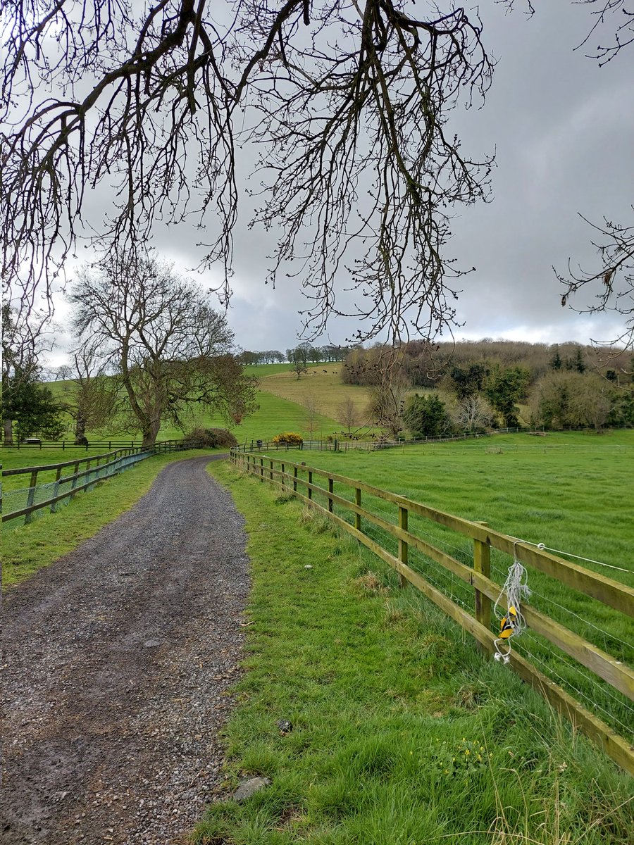 AntoODonoghue's tweet photo. Climb for Charlie 😀 https://t.co/3w7fQa8PMh