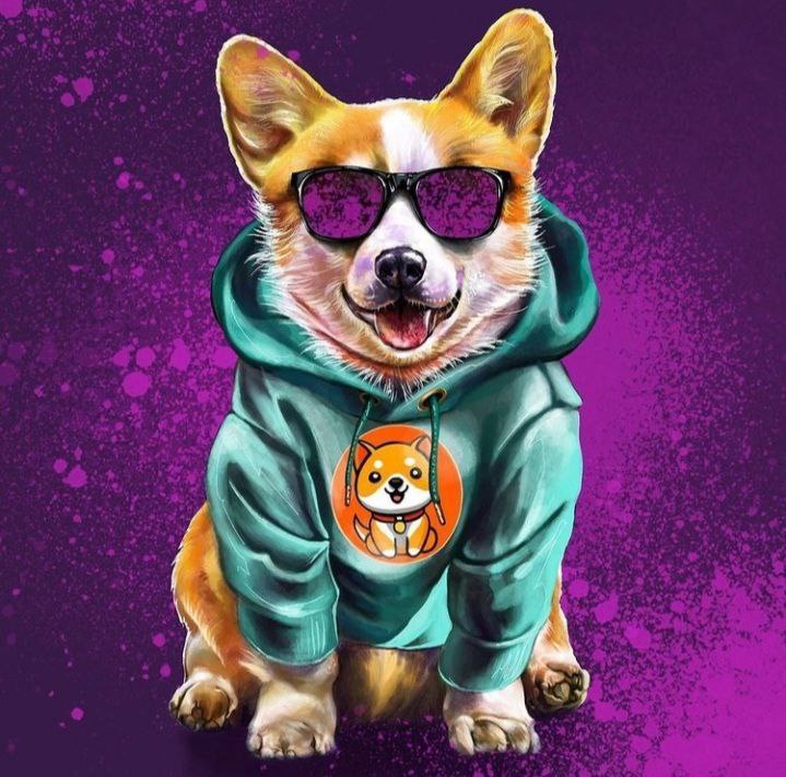DimiInasa's tweet photo. @kucoincom @babydoge Seen the fear in her eyes it must be a babydoge ​​in front. Ahaha https://t.co/dhrWafSA00