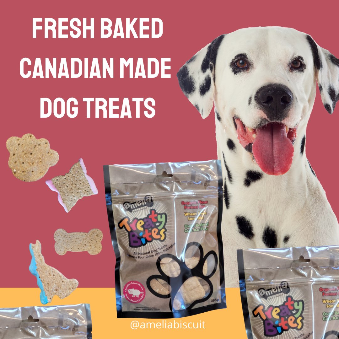 ameliabiscuit's tweet photo. Check out our shop at: https://t.co/VvZWlIX3u3 #dogtreats #canadiandogtreats #amelia #ShopSmall #SupportLocal #dogsoftwitter https://t.co/iQeHjI9dDU