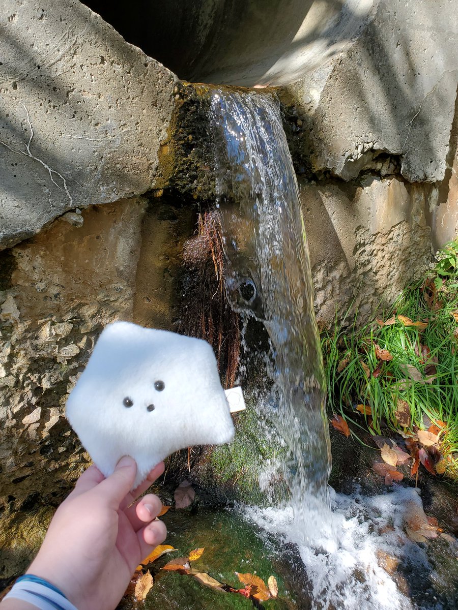 sucklet7's tweet photo. is this sewer water. asking for a friend.
#sucklet. #sewerlet. #scaredlet. https://t.co/DgQm9d0rIE