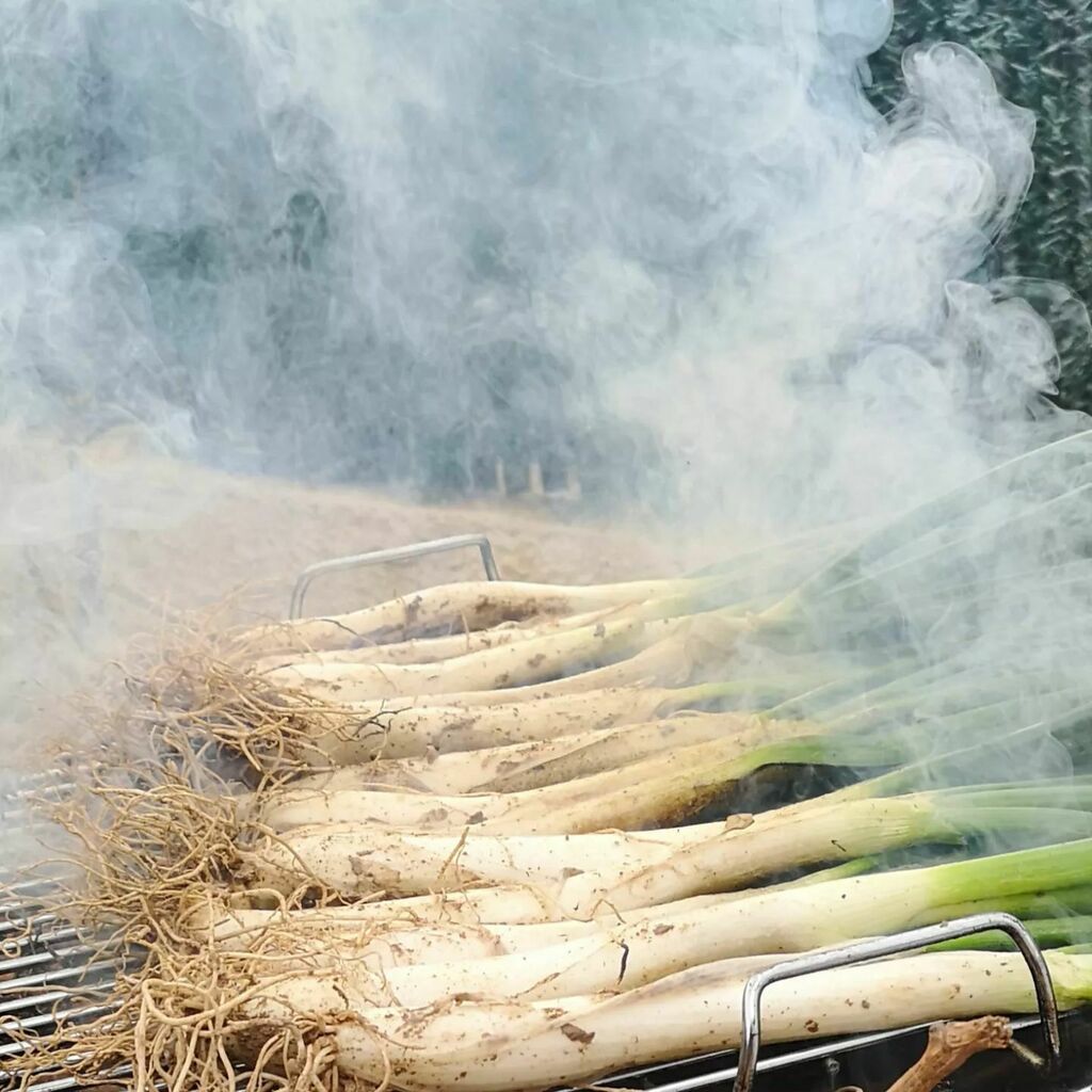 Huele a calçots!!! Fines de semanas llenos de calçotadas.
.
.
.
#calçotada #calçotadasconamigos #calçotadasenfamilia #calçotsadomicilio #calçots #temporadadecalçots #hueleacalçots #photocalçots #photocalsots #calsots