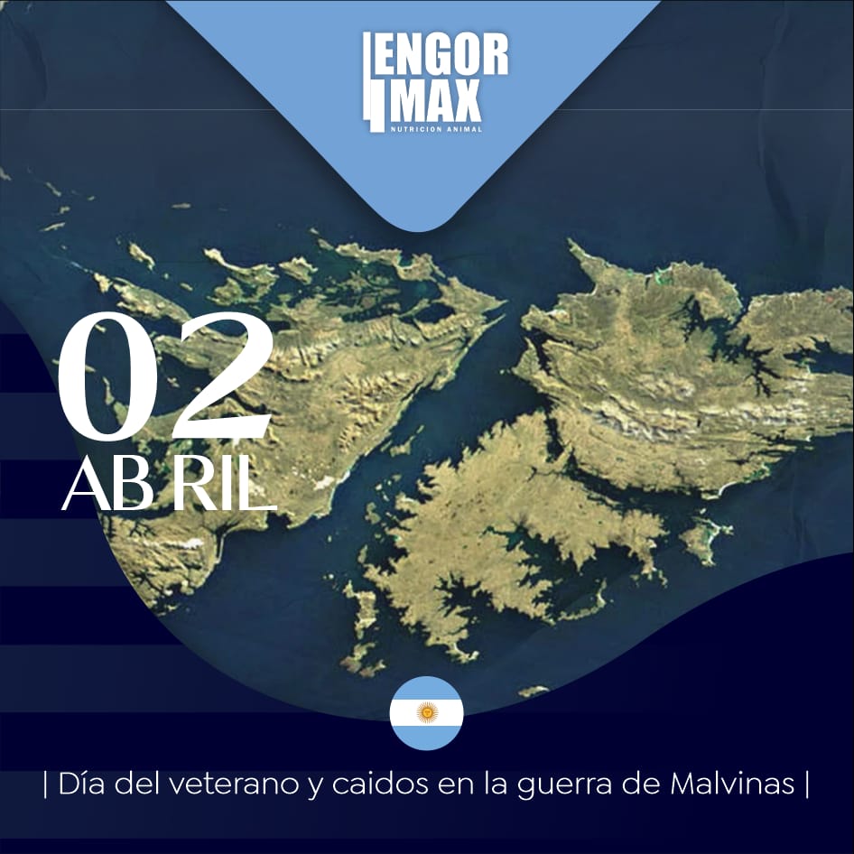 Engormax1 tweet picture