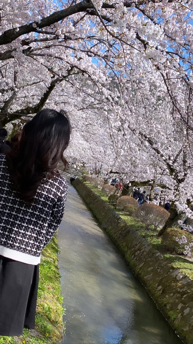 こんばんは🌙☁️
今日も1日お疲れ様です🥂
昨日桜巡りをしに京都行って歩き回ったからぐっすり眠れて幸せやった♡
写真いっぱい載せときます🤤
明日は雨らしいけど皆さんは何するのー？💭💭

1番最初に哲学の道に行ったよ🌸
#レイスタ
#彩