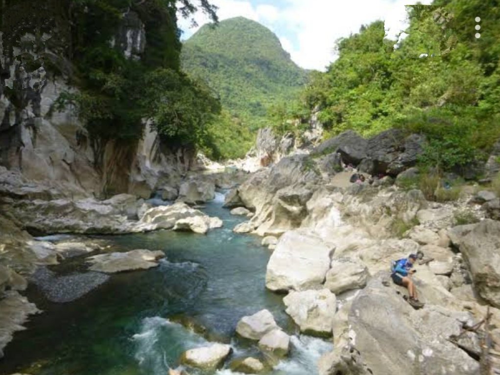 Jeansiar's tweet photo. "In nature, nothing is perfect and everything is perfect.."Do u agree? https://t.co/OnghJI0t0s