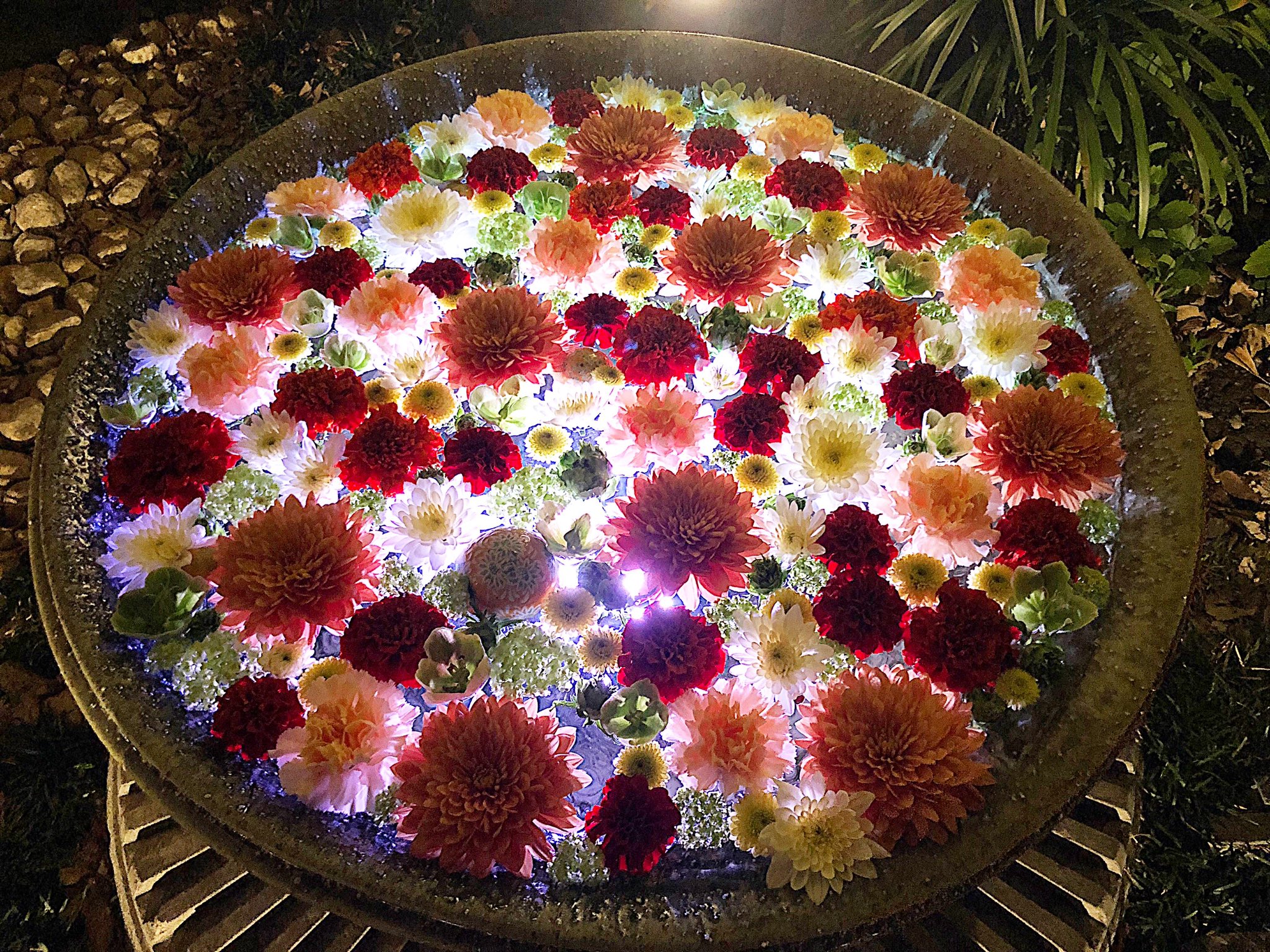 あんでぃー 22年4月の花手水week 今日は毎月一回おこなわれるライトアップイベント 希望の光 開催日 太陽光で見る花手水とは違う幻想的な雰囲気 水琴窟含め境内にある6つのうち 独断と偏見で4つをチョイス 22 4 2 行田八幡神社に