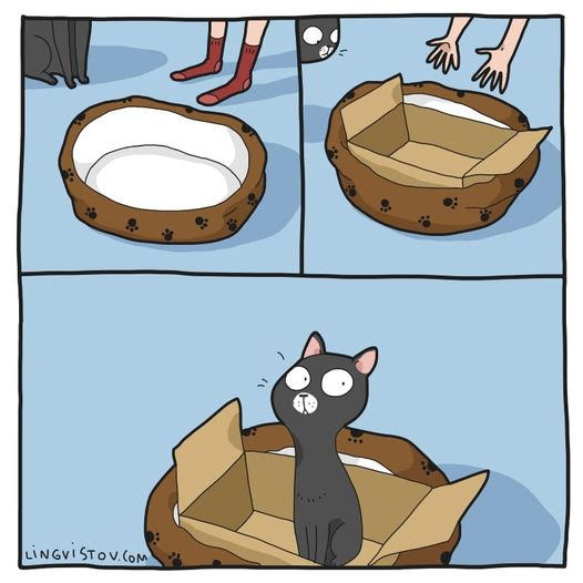 TopGunKitties's tweet photo. This seems about right. https://t.co/L0nLWpEC89