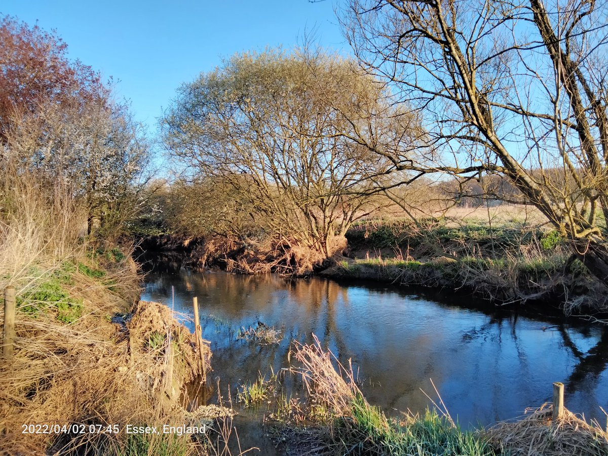 Beautiful weather for the <a href="/RodingValleypr/">RodingValleyparkrun</a> with the RVR Legends. <a href="/bobglasgow/">Bob Glasgow</a> @Orion_Harriers #loveparkrun #rvrlegends