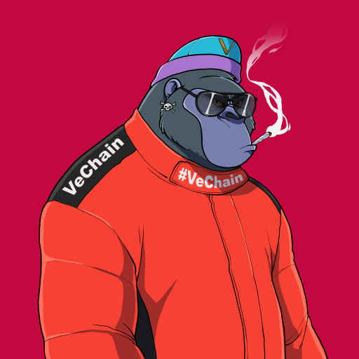 its_papito's tweet photo. @danhardymma @madv_apesnft great community, sick artwork, big utility planned for the future &amp; its on #Vechain gas fees are pennies! 💚 https://t.co/s5auqZegNv