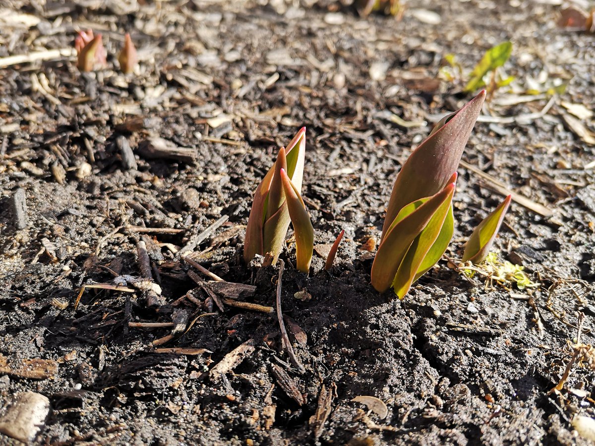 Eric van Wesenbeeck tweet media