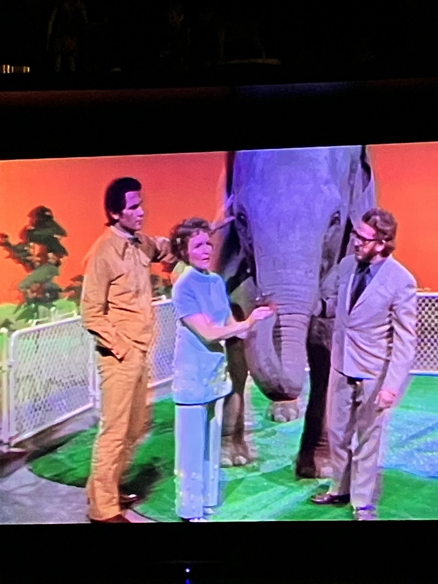 RewStarr's tweet image. I’m binging on #bettywhitespetset this show is so adorable #bettywhite #petset #elephant #savetheanimals