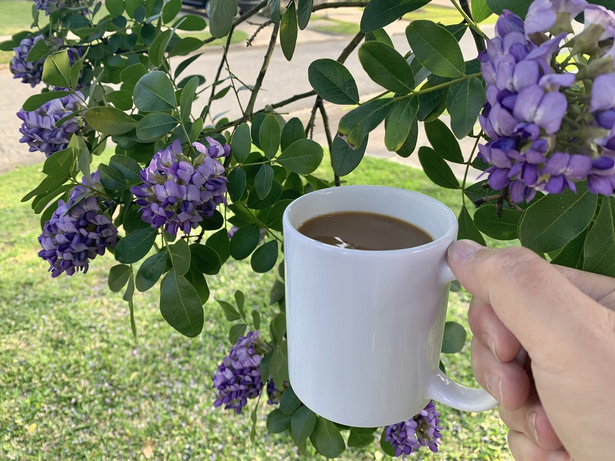 The best season in Houston.
After the chill.  Before the heat.
A quiet Saturday morning with the colors of April. #khou11