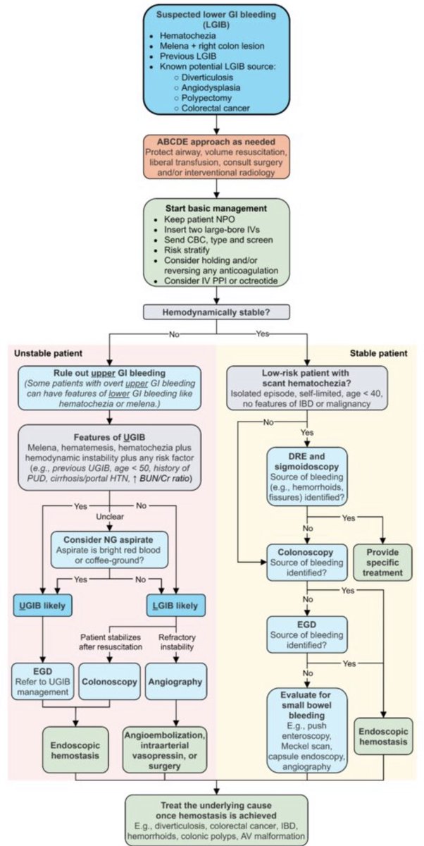 Matthew Ho (@matthewhomd) on Twitter photo Algorithms in GI bleed. Upper, small bowel, and lower Algorithms in GI bleed. Upper, small bowel, and lower