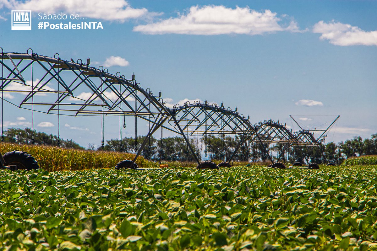 Sábado de... #PostalesINTA 📸