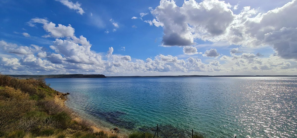 efficiens's tweet image. 