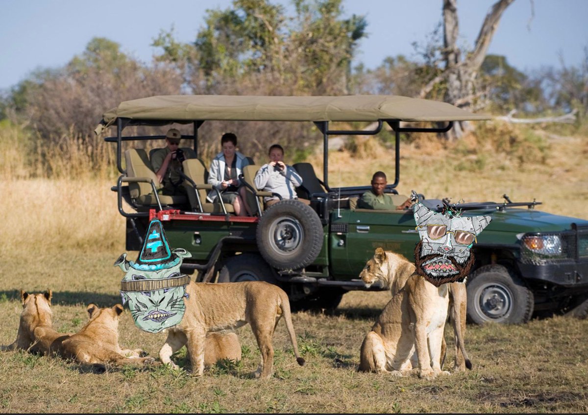 og_swampy's tweet image. Coming Soon @TheSandboxGame Order of Tigons Sanctuary.  Come see us ( @tigonking @SwampAssTigon ) in our Natural Meta Habitat. #SandboxAlphaS2 #THETA #tfuel #tigonstrending @TigonTamer @hederjon