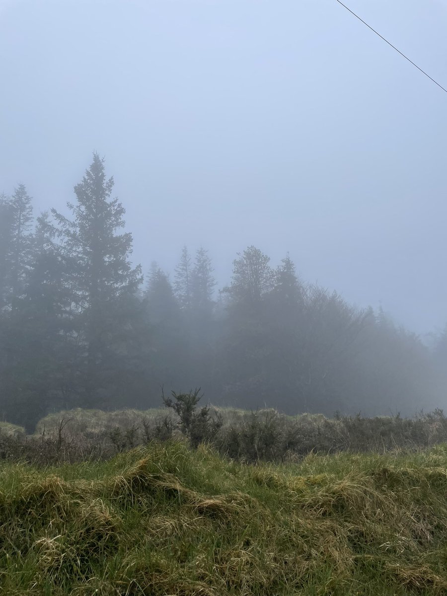 mringster's tweet photo. Went out early for my #ClimbwithCharlie hike on #Seefin in Co.Dublin-couldn’t see 40m in front of me,so changed plan up #Slievetoul beside home. Congrats @charliebird49 on reaching the top of Croagh Patrick #inspirational https://t.co/3IjDHONjWt