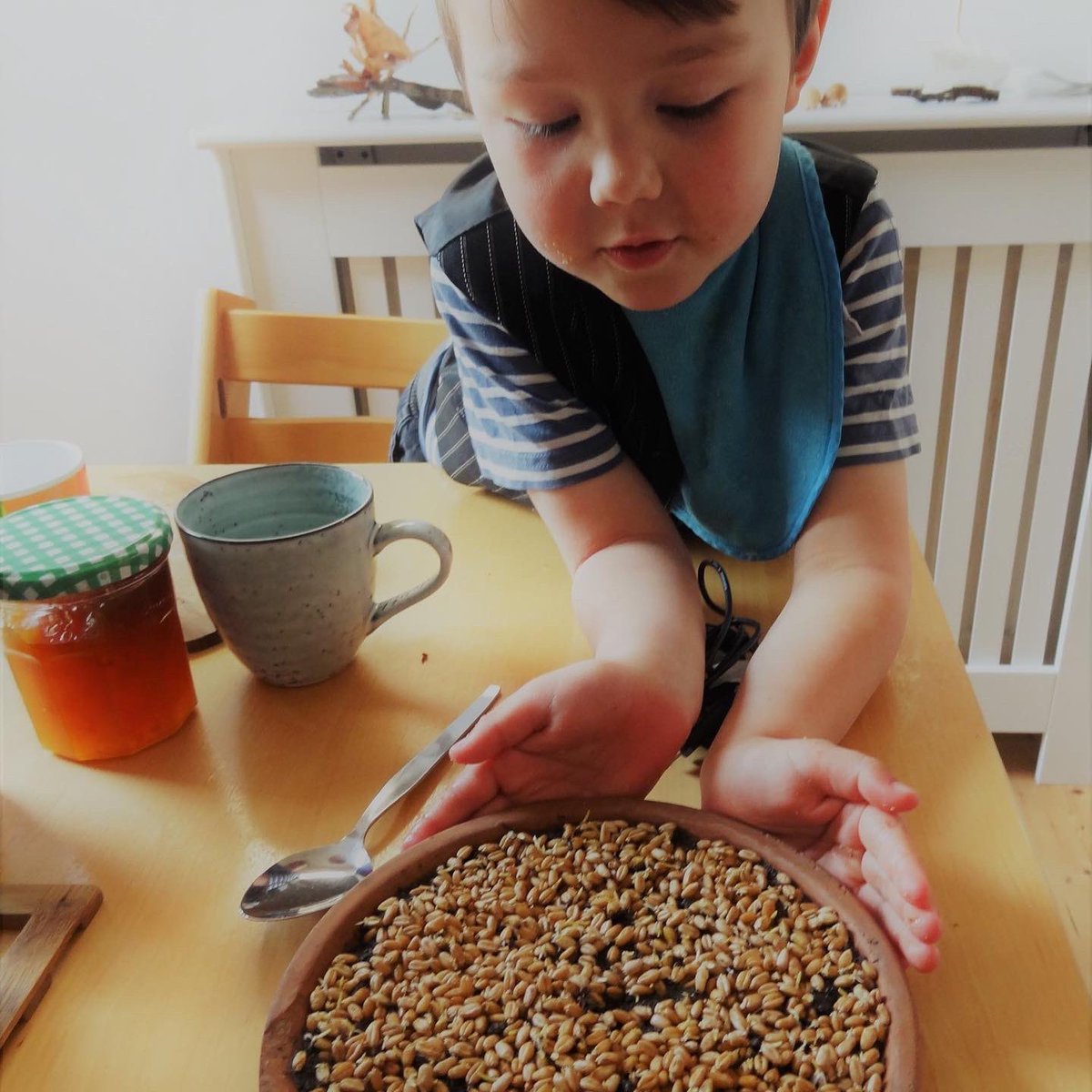 MudandBloom's tweet photo. Planting wheatgrass is one of the activities in our April box. It’s a great way to get children interested in growing plants. The shoots will appear after only four days 🌱🌱
I’ve written a post on how to grow it: https://t.co/dM8Zt25uaF
#gardeningwithchildren #eastergrass https://t.co/QqpIoM81UI