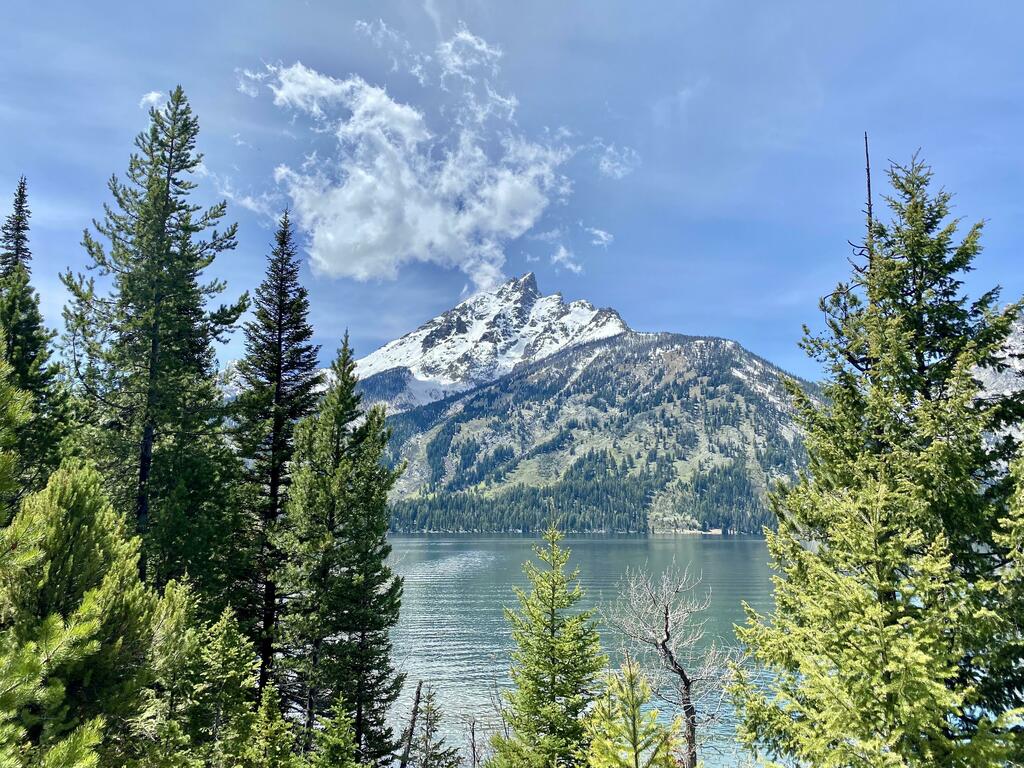 Teewinot Mountain on Jenny Lake (Grand Teton Nat’l Park) (4032x3034)(OC) via /Alaric_Darconville https://t.co/GZLZQOAfMT https://t.co/LFgxzBs3sO