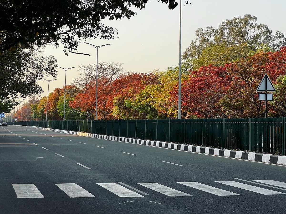 monu8501's tweet photo. A beautiful season to walk across the roads of chandigarh
#springseason #coloursofchandigarh #chandigarh #sector11chandigarh #madhyamarg #citybeautiful #pgimer https://t.co/2bsUsUNacf