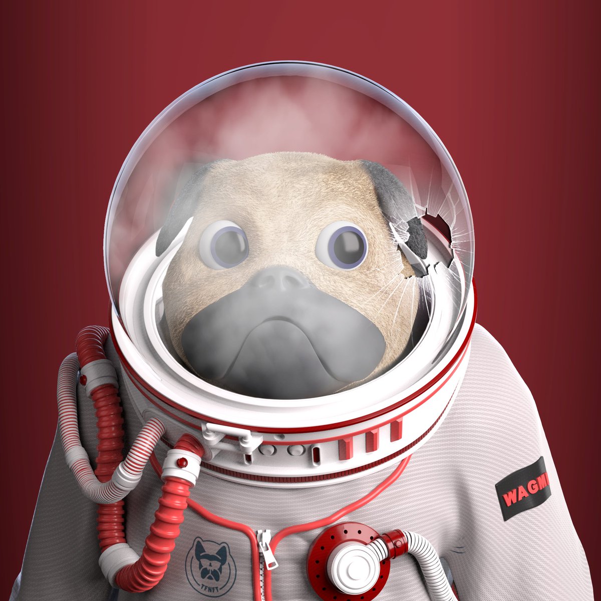 Sneak peek are finally here! 👀
Which one is your favorite?

Everyone who hold 3 Frenchies will be able to get one of these Pug for 1000 $TFNFT.

LFG🚀🚀🚀

#NFT #nftsolana #NFTCollection #solana #pug