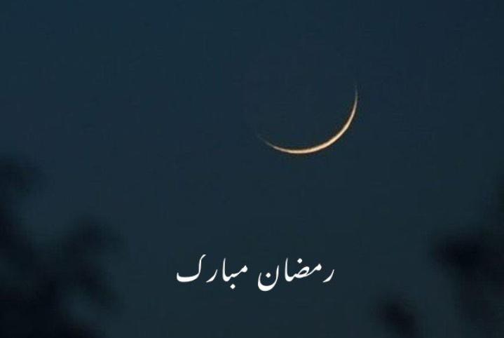 🇵🇰🇵🇰 Lahore Qalanders 🇵🇰🇵🇰 🐦زوہا علی🎗 tweet media