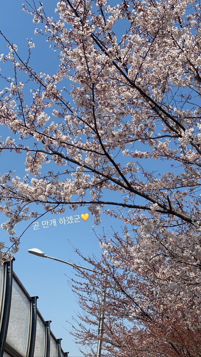 빵팔이 tweet media