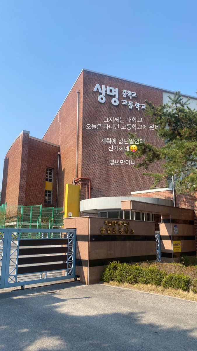 빵팔이 tweet media