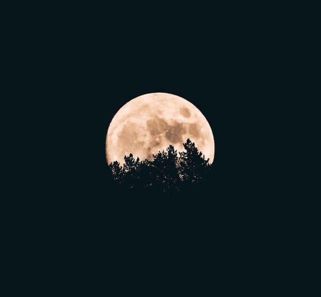 thearcaludo's tweet photo. ⠀⠀⠀⠀⠀

29. Night Owl / Early Bird

⠀⠀⠀⠀⠀ https://t.co/AzVbg6PXXm