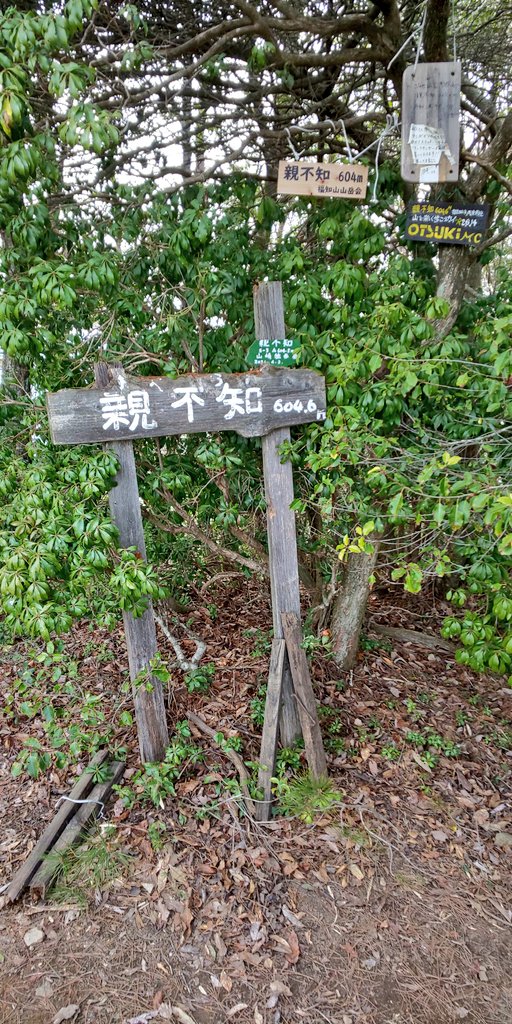55_tnk's tweet photo. 今日の のんびりハイクは、「親不知」～😃💦

大杉ダム 下は満開🌸🍶
                上は まだでした🌸

思ってたよりキツイ道のりでしたよ🎵

#ハイキング #山歩き  #のんびりハイク #兵庫県 #lovehyogo #丹波市 #ふるさと兵庫100山 #京都府339山 https://t.co/m8CSW0HYSq