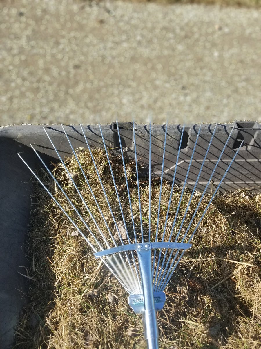 MarkC_289's tweet photo. IMO, this is THE best yard rake one can buy for Spring yard preparation.
Its width is adjustable & tines are rigid enough to essentially do some thatching of your grass...IF you are willing & able to do the #YardWorkOut.💪
Now back to it!😎 (just starting)
#gardening #LawnCare https://t.co/9vzwt0Z79V