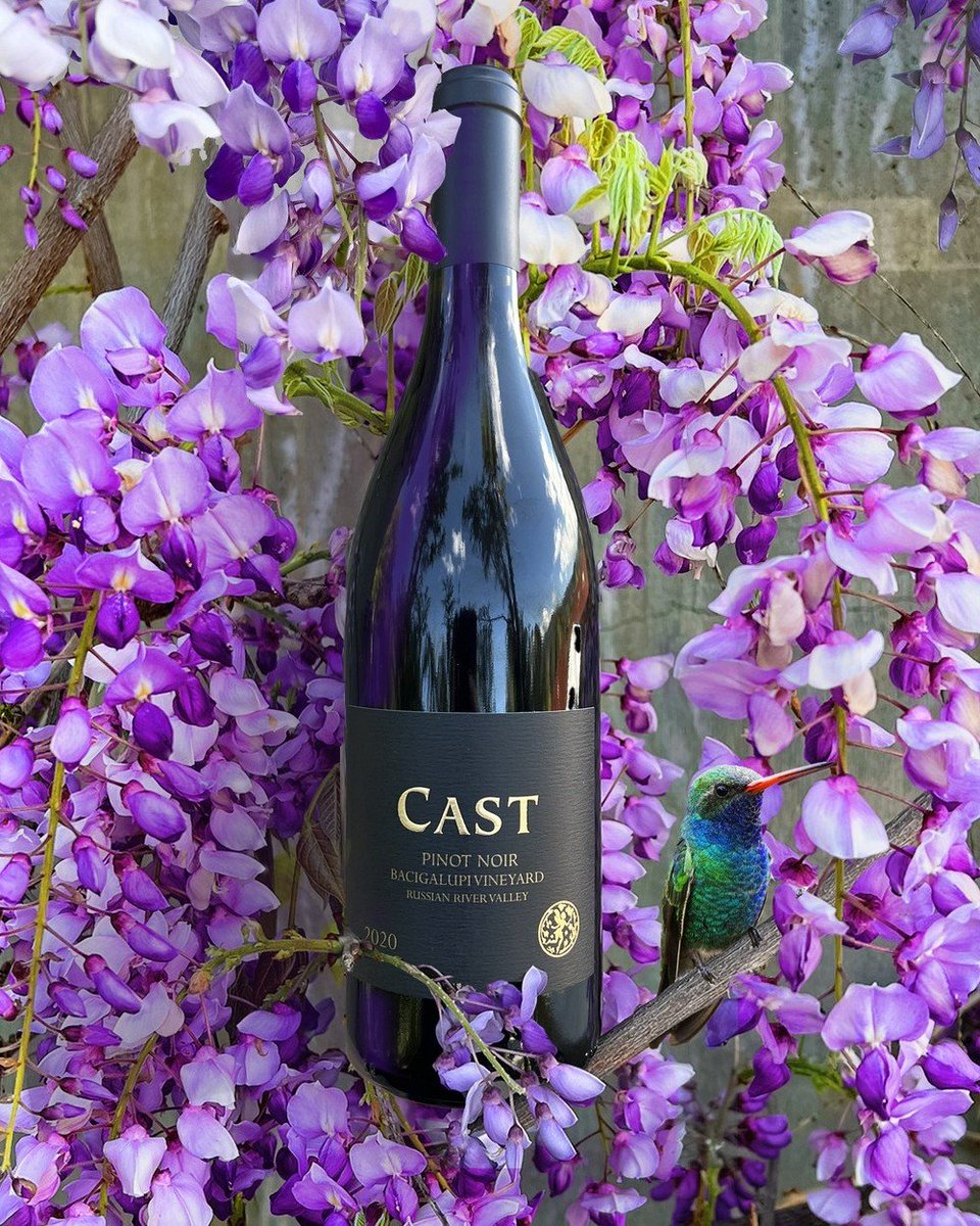 Our Wine of the Month, Pinot Noir, 
Bacigalupi Vineyard, 2020.

This wine is tasting incredible now! Aromas of bing cherry, pumpkin pie spice, black currant, brambly berries, and vanilla bean. The palate is bright with tons of pop but also great density of flavors such as dried c