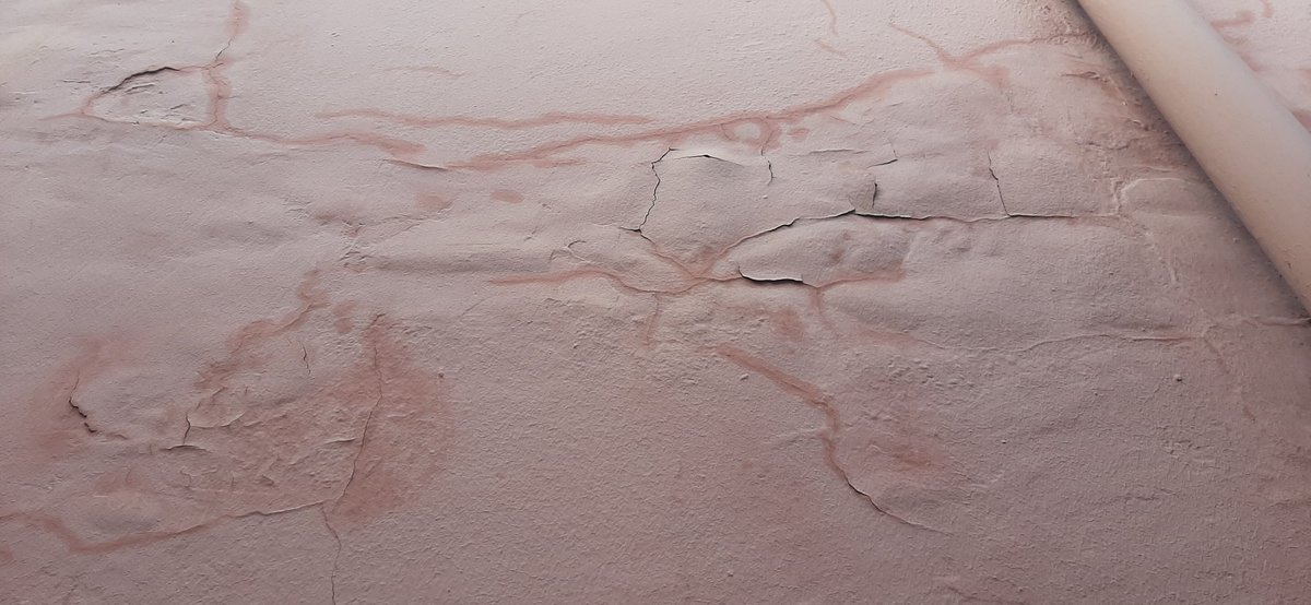 KerakollMiguelC's tweet photo. ¿LE OCURRE ESTO A TU FACHADA?
Antes de intervenir en este tipo de soportes, consulta la solución que dispone Kerakoll y su prescripción.

#arquitecto #aparejador #ingeniero #pintor #pintura #fachada #trabajosverticales #revestimientos #edificios #kerakoll #granada #almeria https://t.co/6vToOk1wNP