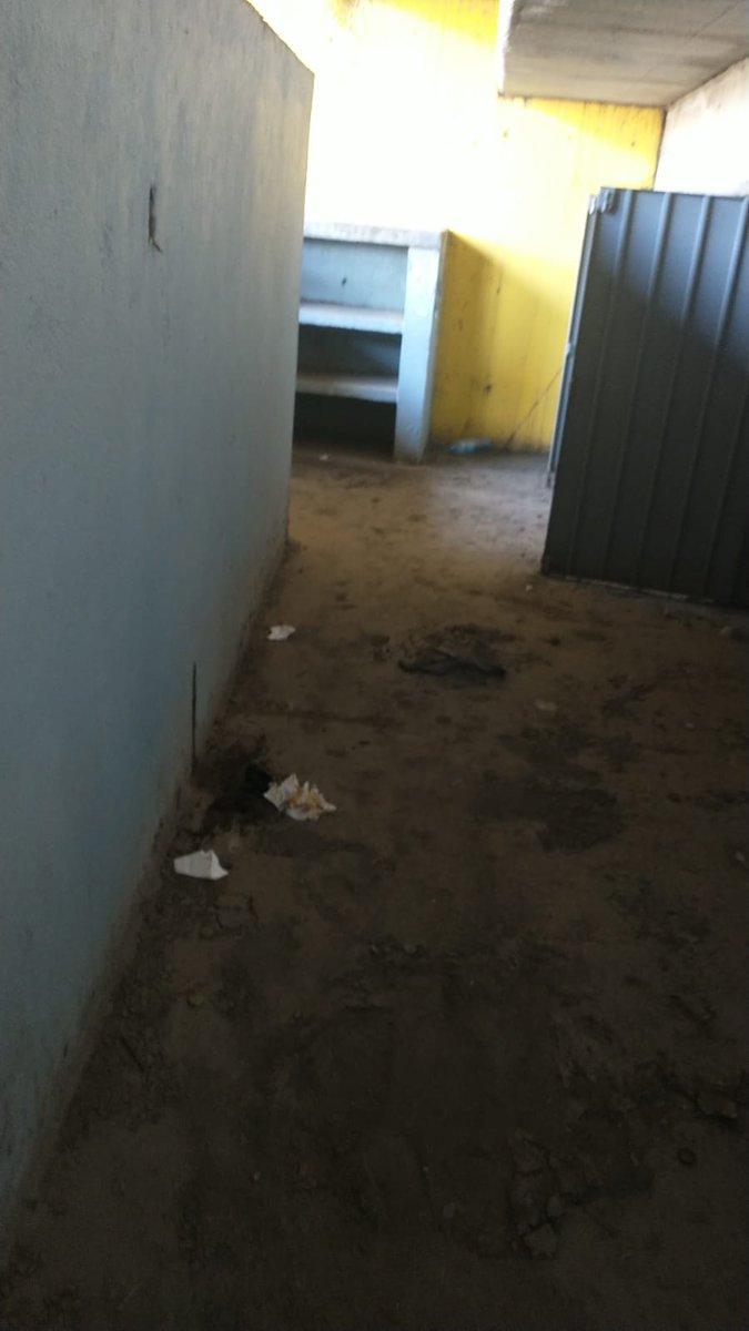 crusing morelia tweet media