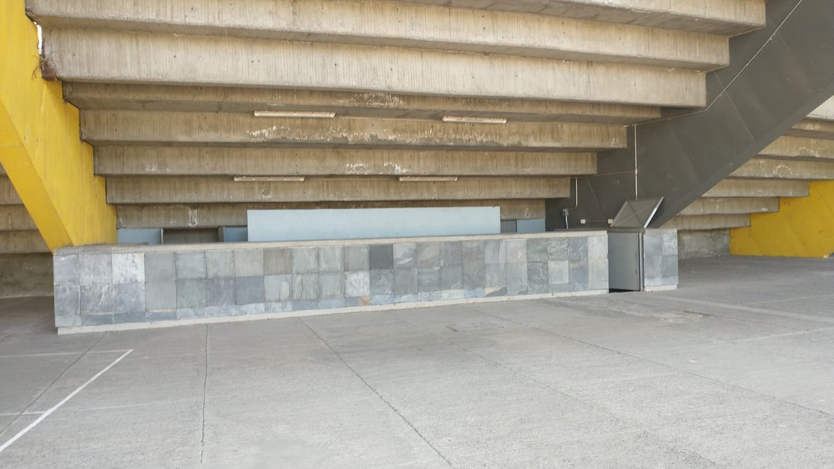 crusing morelia tweet media