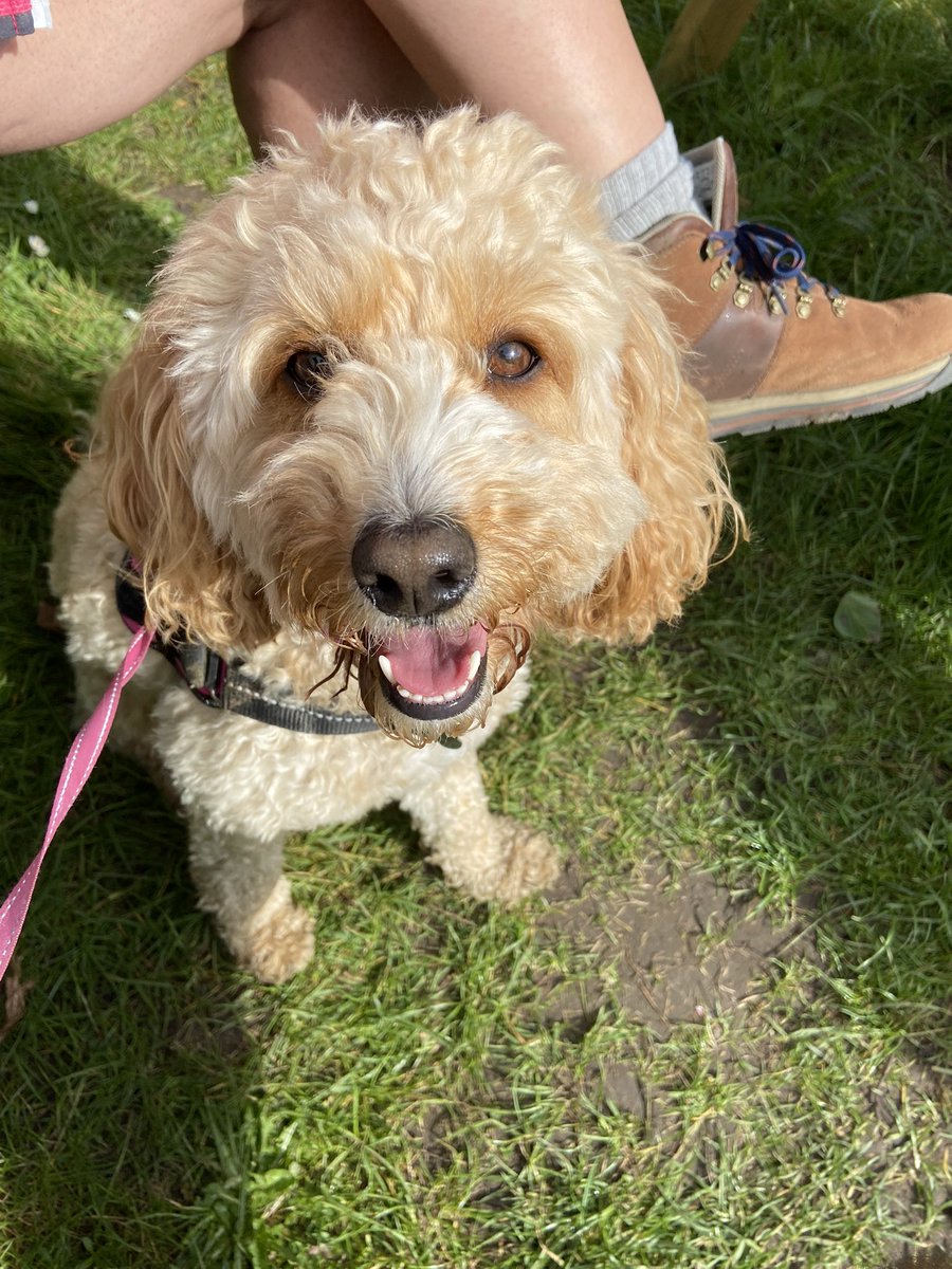 <a href="/storklancaster/">The Stork Inn</a> 🍻 🐶 🥾