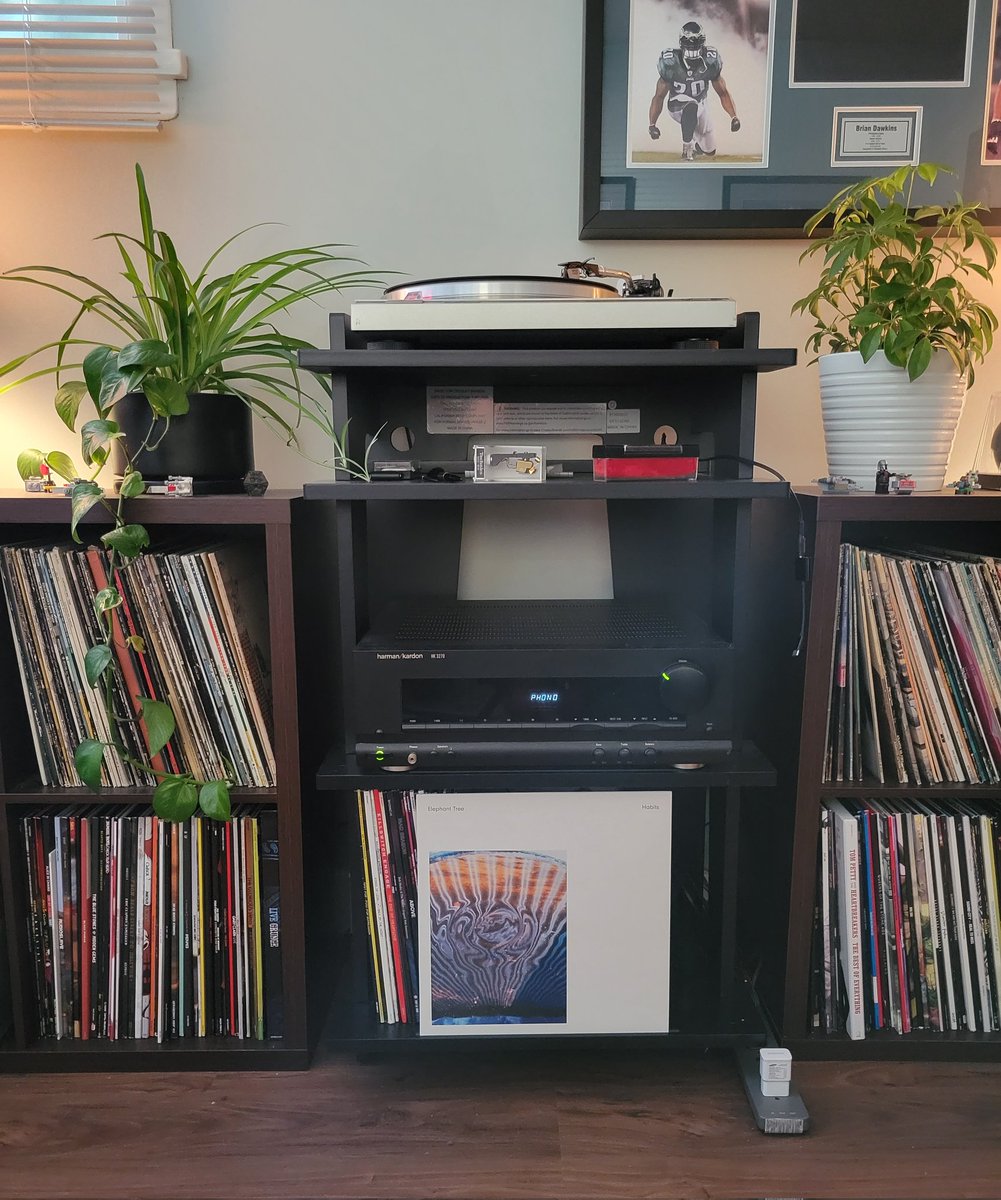 VinylHaggis's tweet image. Haven't gave this one a spin in while. If you like the heavy, stoner, psychedelic rock give this UK band a listen 🎶🤟

#NowPlaying Elephant Tree

#ElephantTree #Habits #heavy #stonerrock #psychedelicrock #vinyl #vinylrecords #vinyladdict #vinylcommunity #vinylcollection