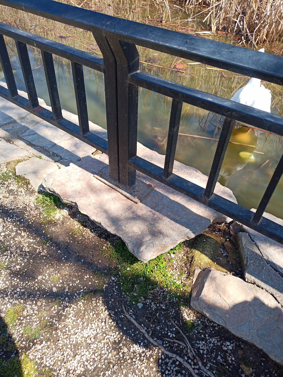 Paulaneeer's tweet photo. Y el estado de la valla es bastante peligroso. Por favor @AytoAlcorcon arreglen esa valla y procuren limpiar el lago por el bien de la fauna https://t.co/DfSrB2m2Ec