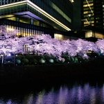 ツイートに含まれる画像