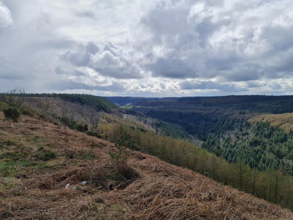 CliffHolidays's tweet photo. Dramatic skies today on our walk which started in Langale End. Just turning back towards the start now after 5 good miles of walking.
#walkshire #walkerfriendly #walkingfriendly #Yorkshire #cottages https://t.co/mgoKzhRAy1